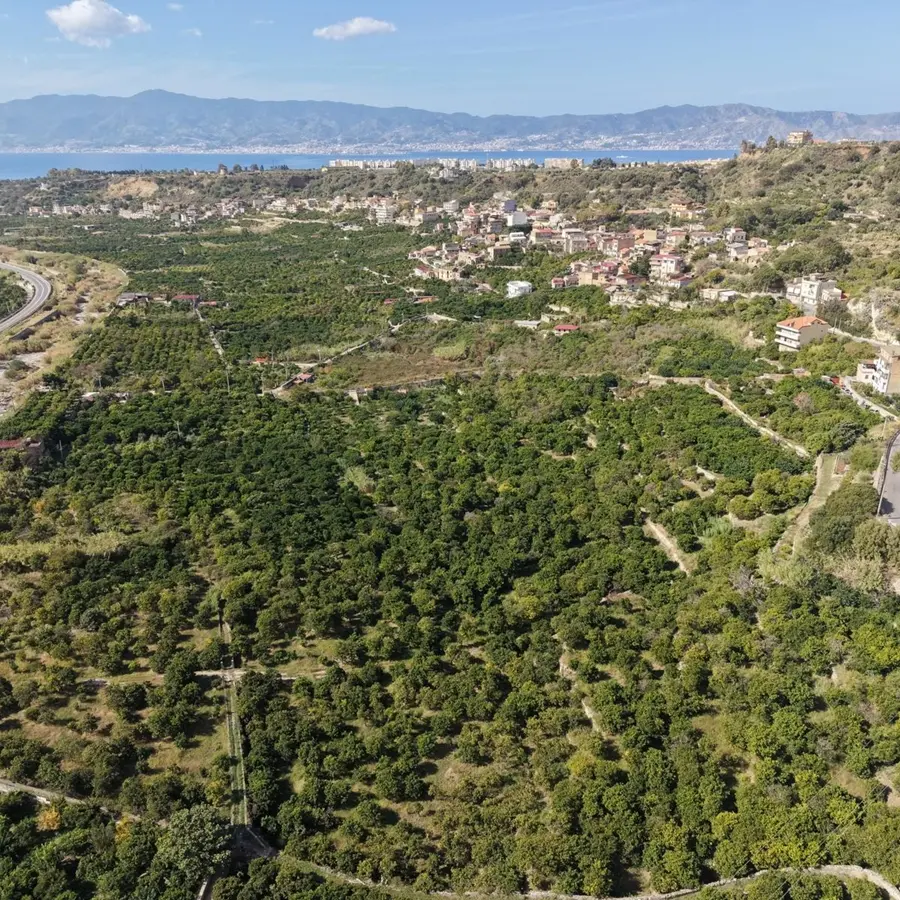 Villa San Giuseppe racconta la Vallata del Gallico tra storia, identità e futuro\u00A0\n