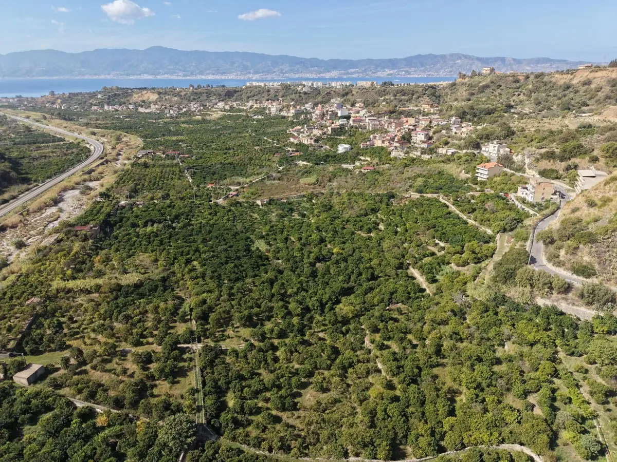 Villa San Giuseppe racconta la Vallata del Gallico tra storia, identità e futuro\u00A0\n