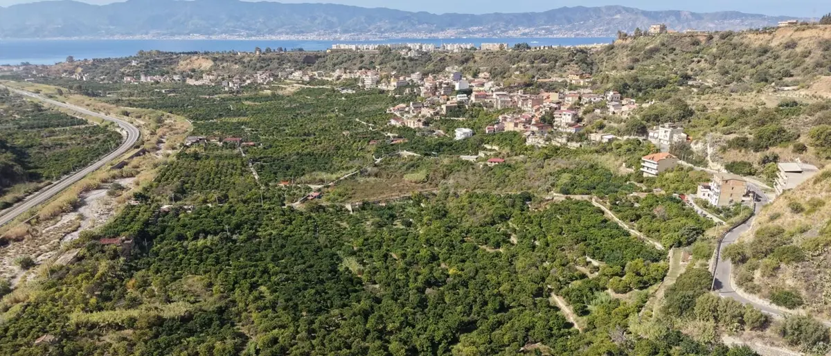 Villa San Giuseppe racconta la Vallata del Gallico tra storia, identità e futuro\u00A0\n