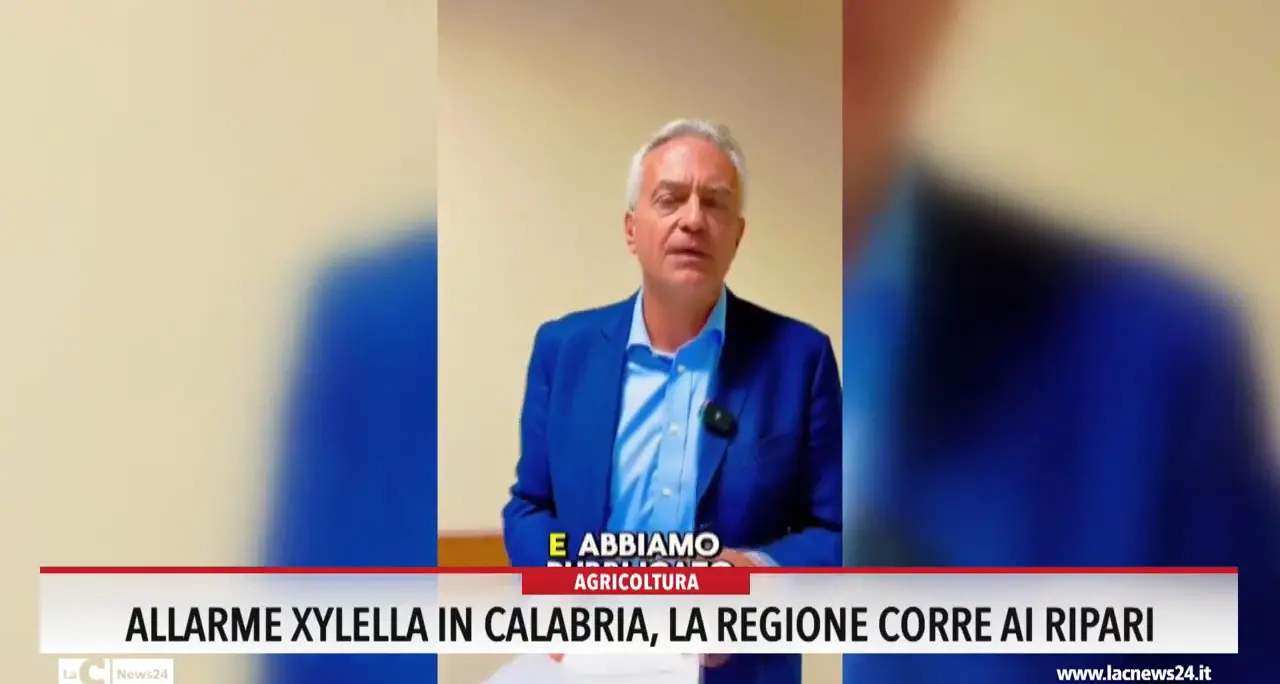 Allarme xylella, in Calabria la Regione corre ai ripari