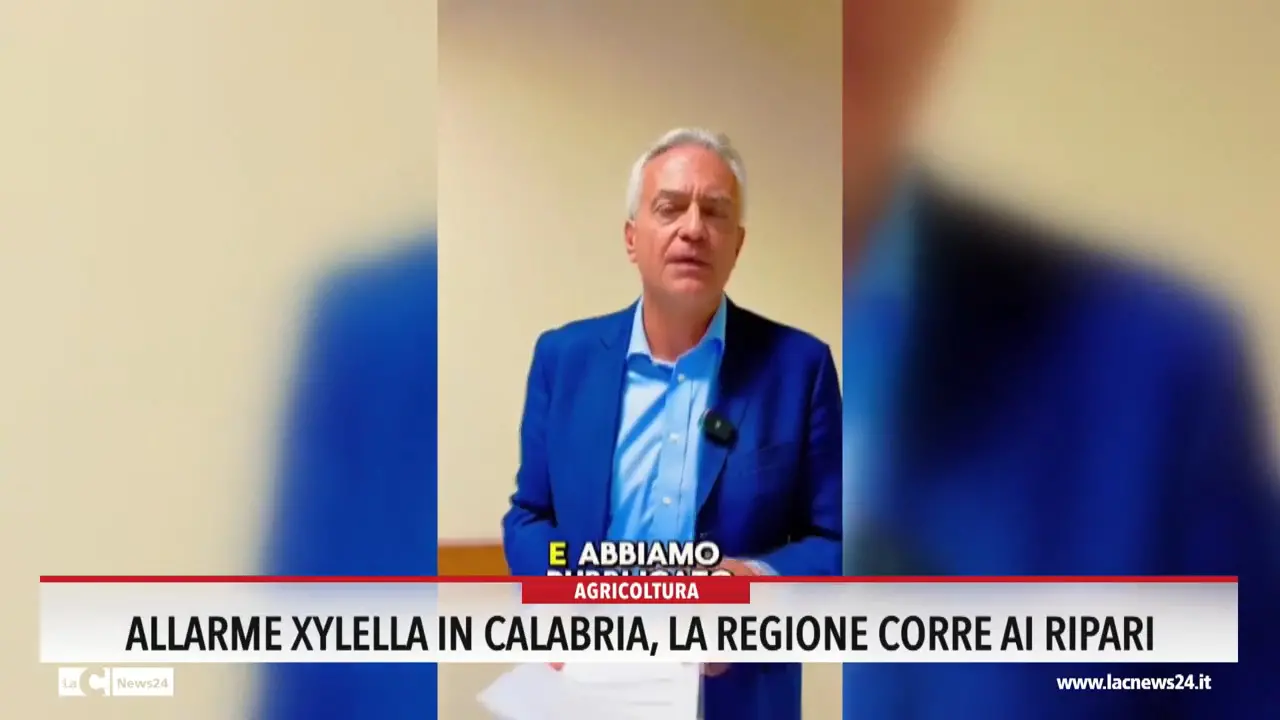Allarme xylella, in Calabria la Regione corre ai ripari