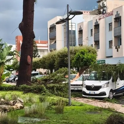 <p>Maltempo a Policoro, la tromba d’aria devasta città e litorale: danni per milioni di euro – <span style=\"color:hsl(0, 75%, 60%);\">VIDEO</span></p>