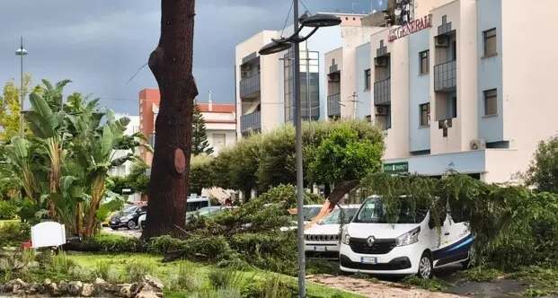 Maltempo a Policoro, la tromba d’aria devasta città e litorale: danni per milioni di euro –\u00A0VIDEO\n