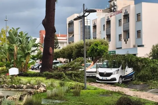 Maltempo a Policoro, la tromba d’aria devasta città e litorale: danni per milioni di euro –\u00A0VIDEO\n