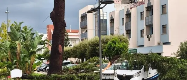Maltempo a Policoro, la tromba d’aria devasta città e litorale: danni per milioni di euro –\u00A0VIDEO\n