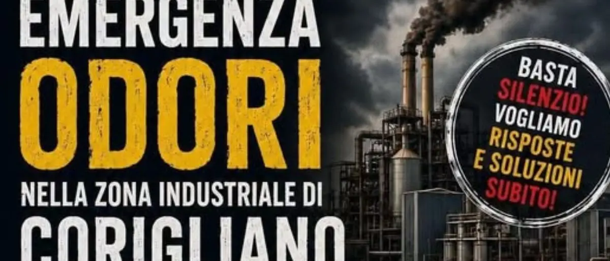 Odori nauseabondi nella zona industriale di Corigliano, gli operatori chiedono controlli urgenti\n