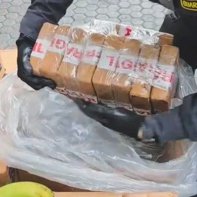 <p>Tre Croci, la Dda chiede 12 condanne (per 153 anni) per il traffico milionario di cocaina a Gioia Tauro – <span style=\"color:hsl(0, 75%, 60%);\">NOMI</span></p>