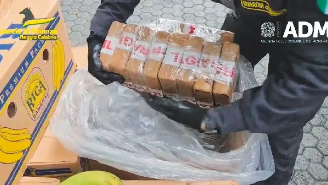 <p>Un sequestro di cocaina a Gioia Tauro</p>\\n