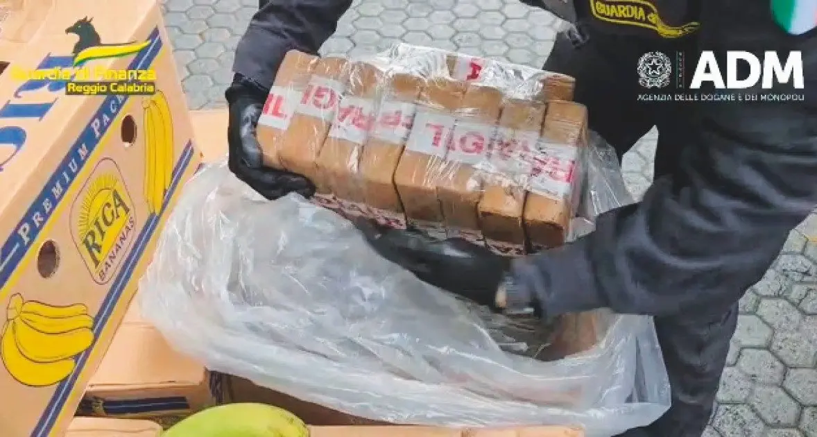 Tre Croci, la Dda chiede 12 condanne (per 153 anni)\u00A0per il traffico milionario di cocaina a Gioia Tauro –\u00A0NOMI\n