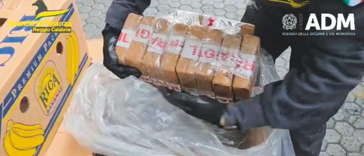 Tre Croci, la Dda chiede 12 condanne (per 153 anni)\u00A0per il traffico milionario di cocaina a Gioia Tauro –\u00A0NOMI\n