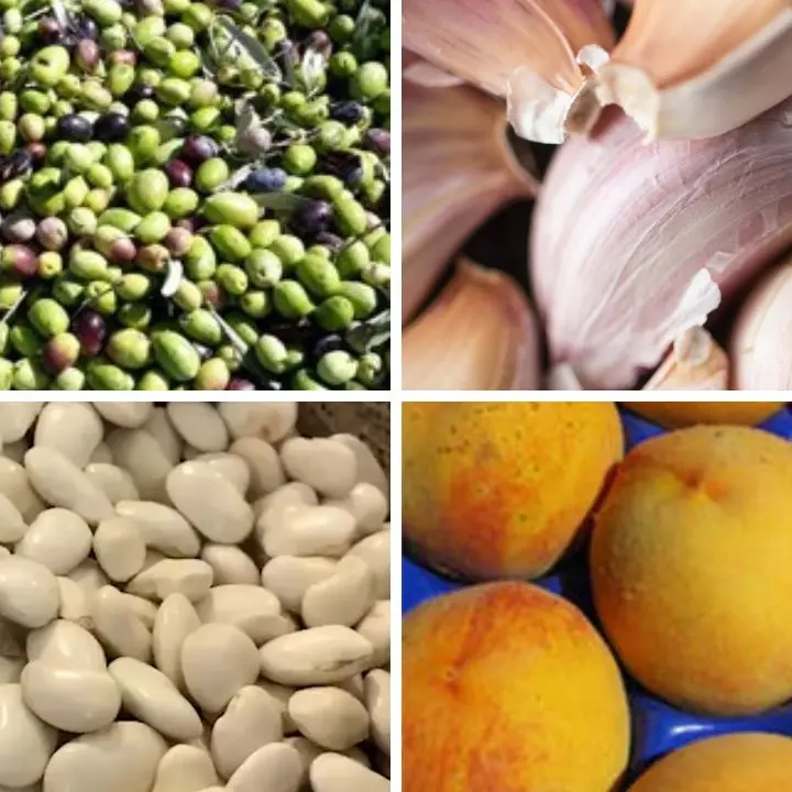 Terra Madre 2026, la Calabria protagonista con 4 nuovi Presìdi Slow Food: ecco la mappa delle\u00A0eccellenze\n