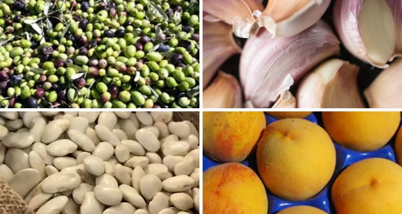 <p>Terra Madre 2026, la Calabria protagonista con <span style=\"color:hsl(0, 75%, 60%);\">4 nuovi Presìdi Slow Food</span>: ecco la mappa delle eccellenze</p>