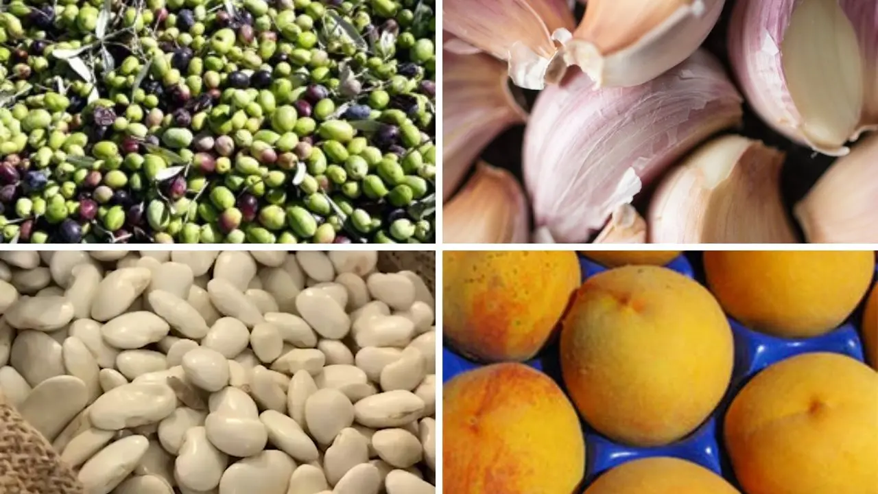 Terra Madre 2026, la Calabria protagonista con 4 nuovi Presìdi Slow Food: ecco la mappa delle\u00A0eccellenze\n