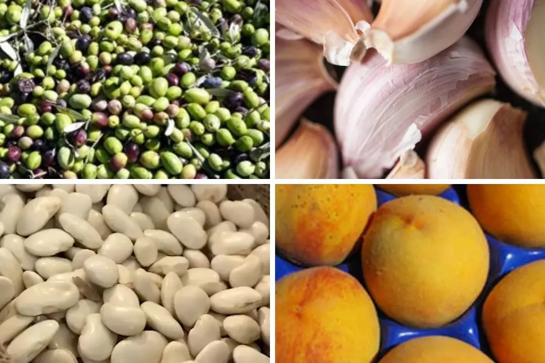 Terra Madre 2026, la Calabria protagonista con 4 nuovi Presìdi Slow Food: ecco la mappa delle\u00A0eccellenze\n