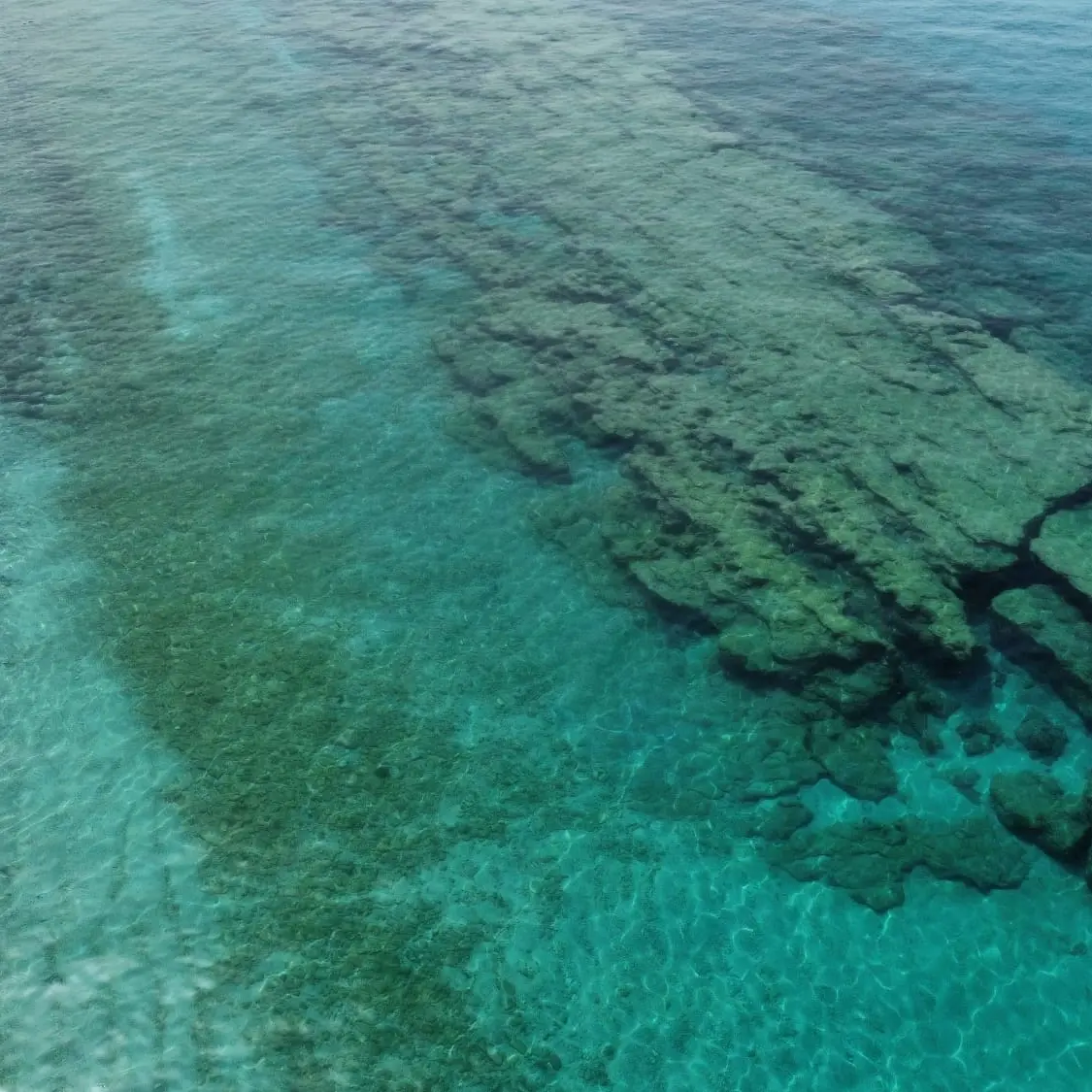 Mare di Zambrone, le analisi escludono contaminazioni di origine fecale: «Parametri nei limiti previsti»\n