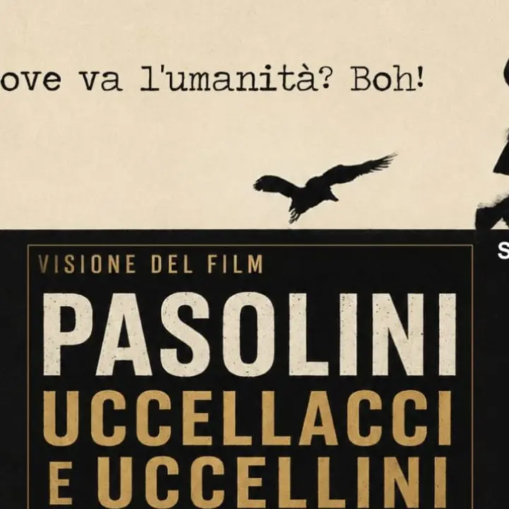 La Scuola Pasolini arriva in Calabria: Corigliano-Rossano fulcro della ricerca internazionale su Pier Paolo Pasolini\n