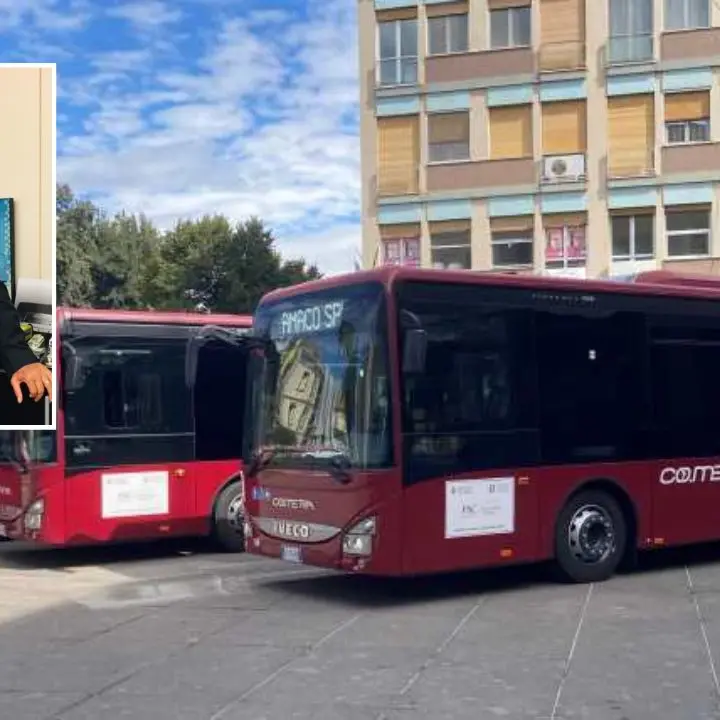 Amaco, Carlomagno: «La proposta di Cometra? Serve trasparenza»\n
