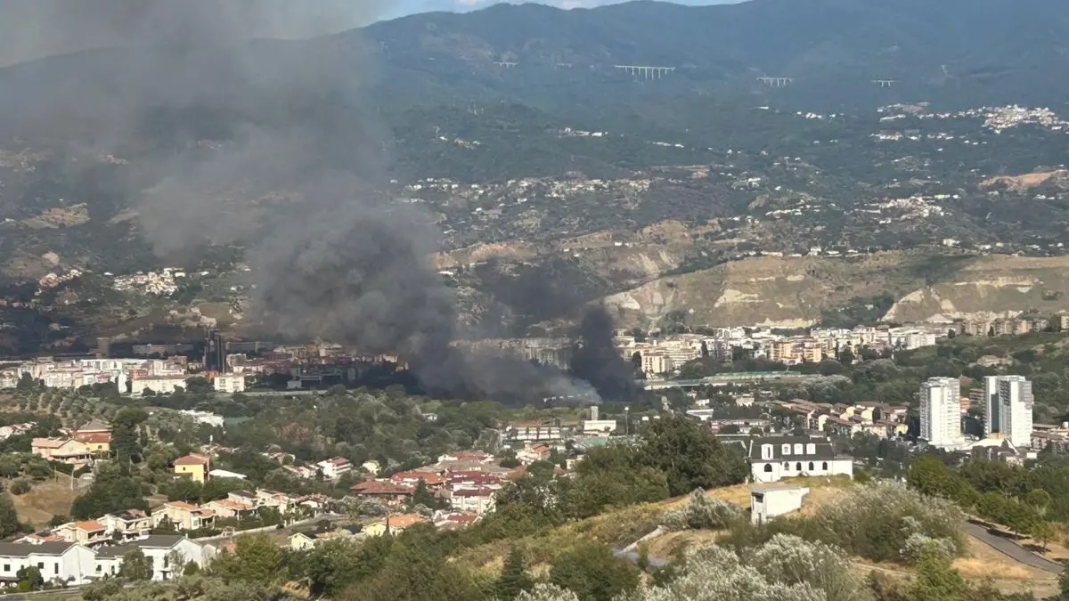 <p>Incendio vicino alla carreggiata dell’A2 prima dello svincolo di Cosenza Sud</p>\\n