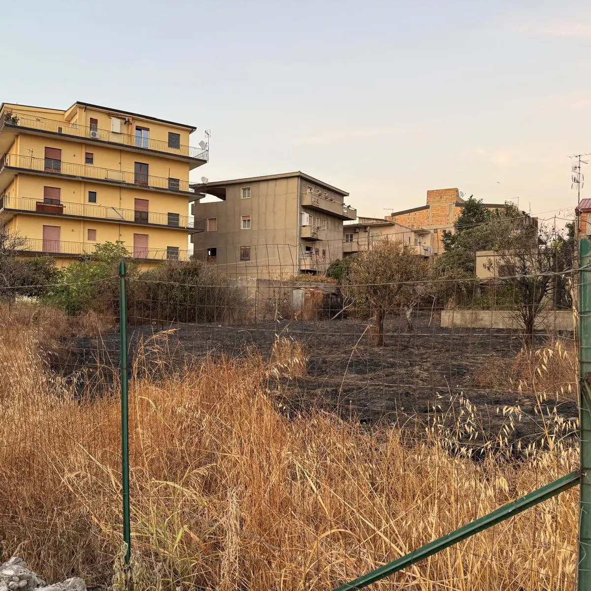 Terreni incolti a ridosso delle abitazioni, Marcianò (Noi moderati): «Il Comune intensifichi i controlli»\n