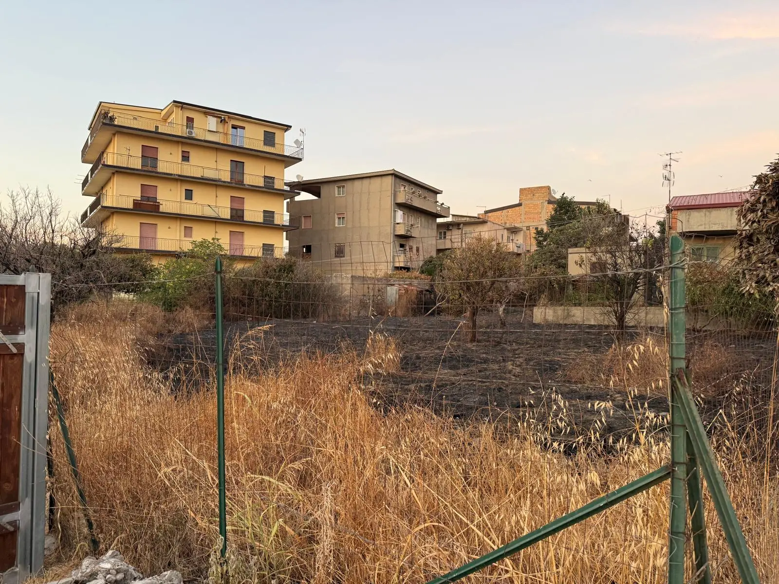 Terreni incolti a ridosso delle abitazioni, Marcianò (Noi moderati): «Il Comune intensifichi i controlli»\n