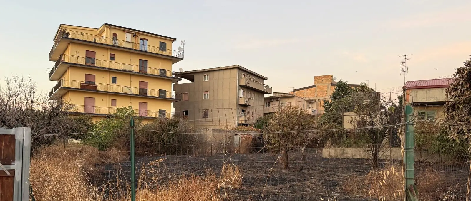 Terreni incolti a ridosso delle abitazioni, Marcianò (Noi moderati): «Il Comune intensifichi i controlli»\n