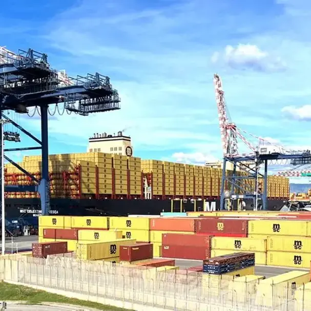 Gioia Tauro, l’allarme di Ranuccio\u00A0sui container diretti all’esercito israeliano: «Armi per il genocidio, fermiamole»\n