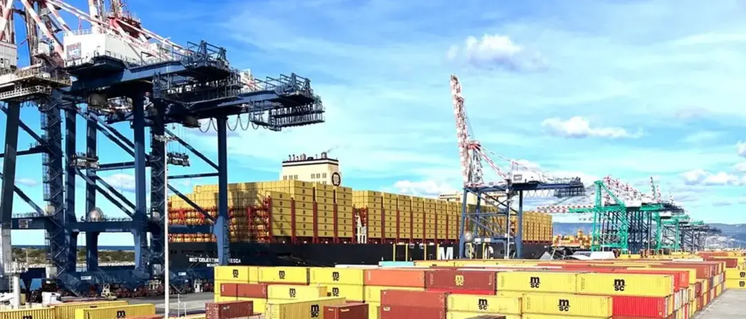 Gioia Tauro, l’allarme di Ranuccio\u00A0sui container diretti all’esercito israeliano: «Armi per il genocidio, fermiamole»\n
