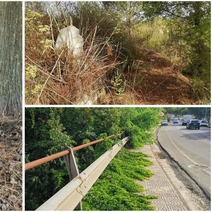 Auto sui marciapiedi, sterpaglie e rifiuti: le foto di un lettore raccontano il degrado in più zone di Vibo\n