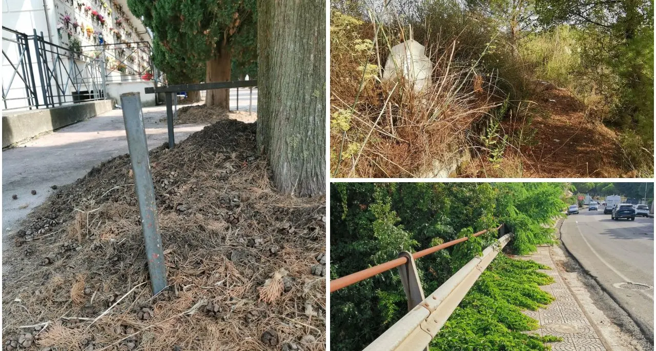 Auto sui marciapiedi, sterpaglie e rifiuti: le foto di un lettore raccontano il degrado in più zone di Vibo\n