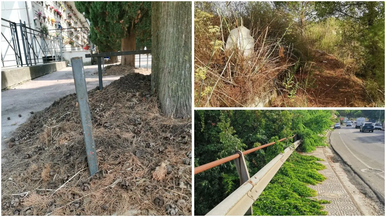 Auto sui marciapiedi, sterpaglie e rifiuti: le foto di un lettore raccontano il degrado in più zone di Vibo\n