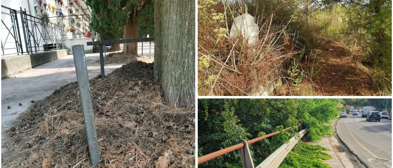 Auto sui marciapiedi, sterpaglie e rifiuti: le foto di un lettore raccontano il degrado in più zone di Vibo\n