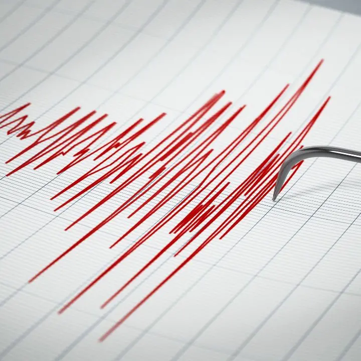 Terremoto in Calabria, scossa di magnitudo 2.9 nel Cosentino: epicentro vicino ad Aprigliano\n