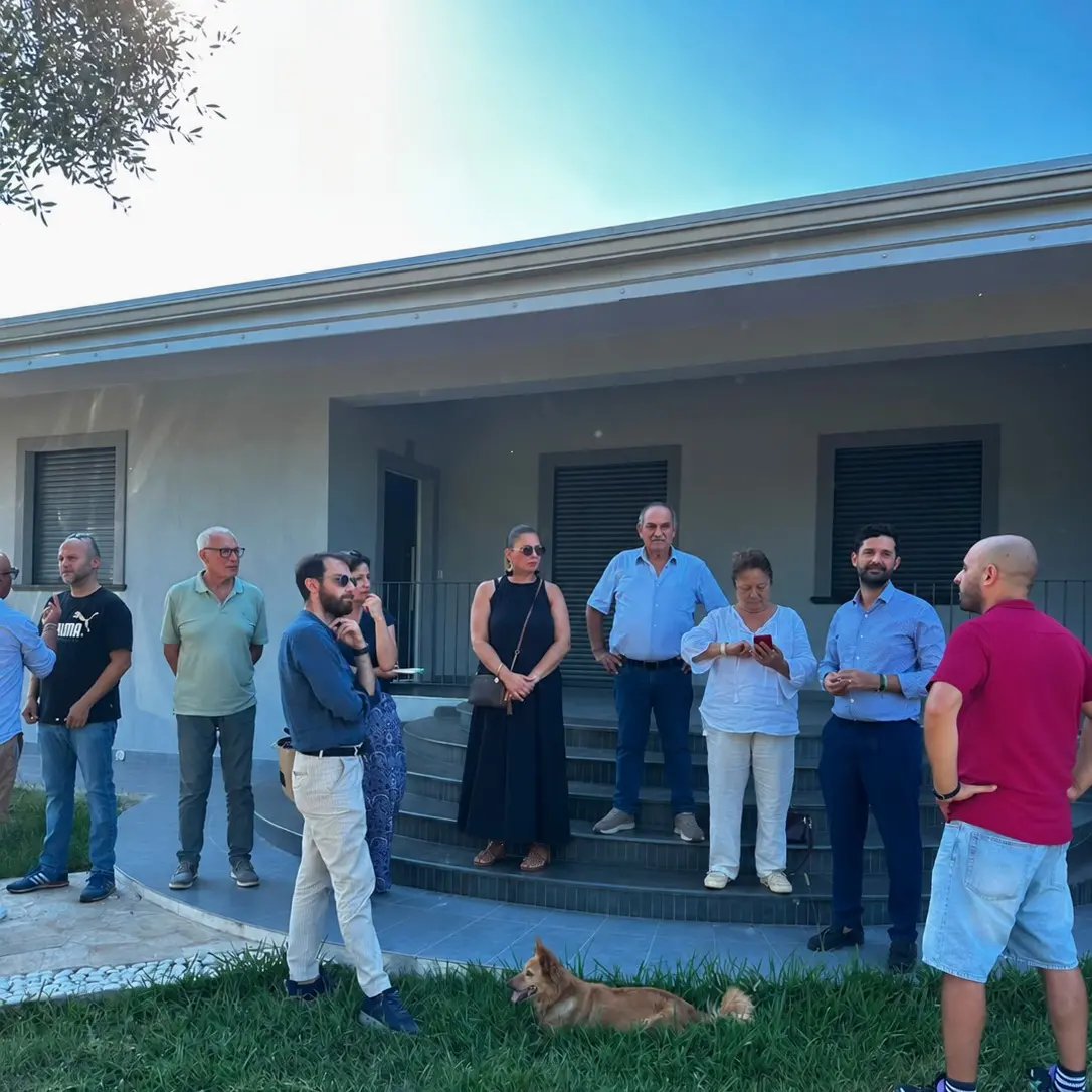 Xylella a Taurianova, sopralluogo del Pd\u00A0in contrada Olivitella:\u00A0«Ora serve intervenire subito»\n
