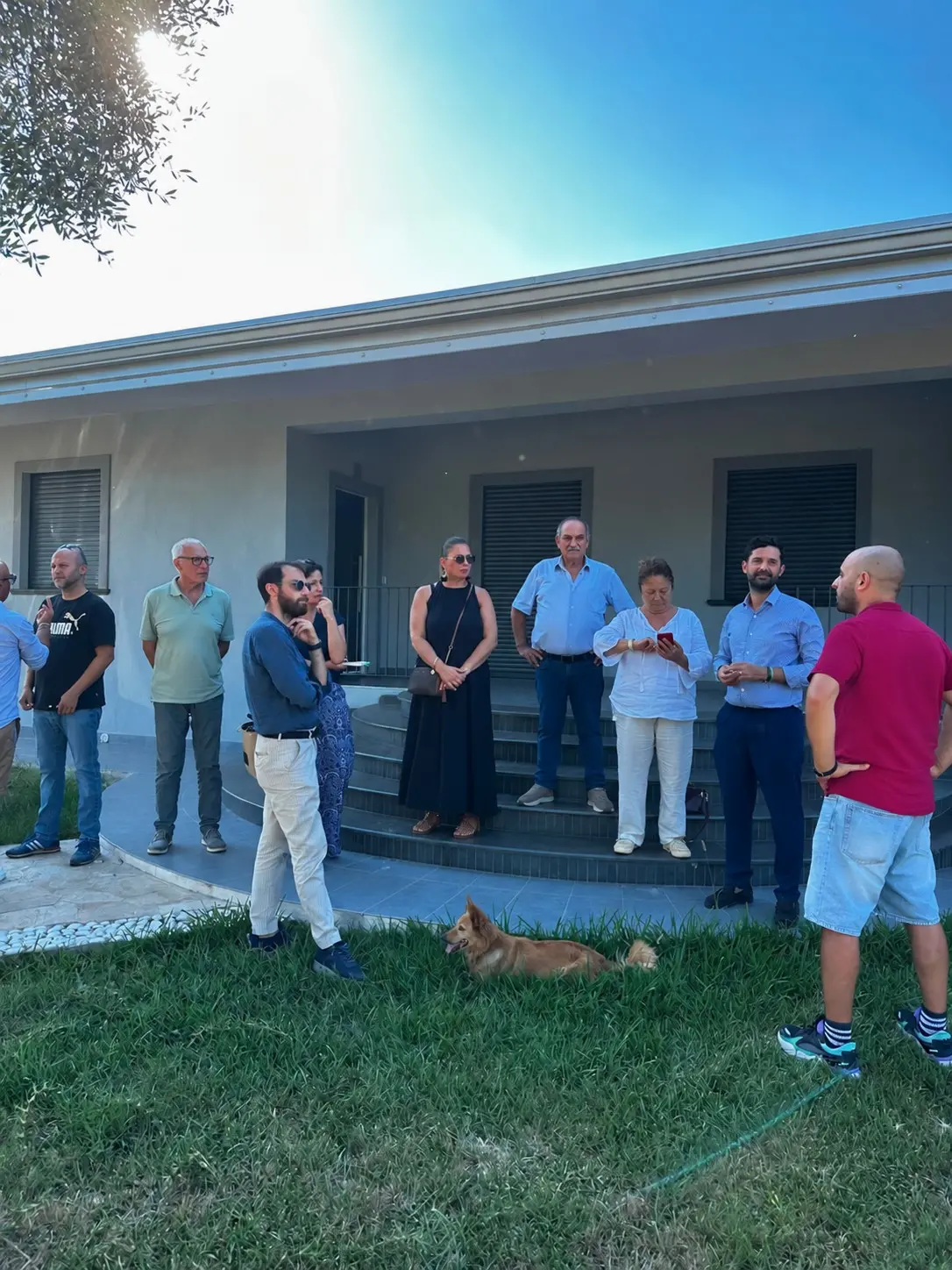Xylella a Taurianova, sopralluogo del Pd\u00A0in contrada Olivitella:\u00A0«Ora serve intervenire subito»\n