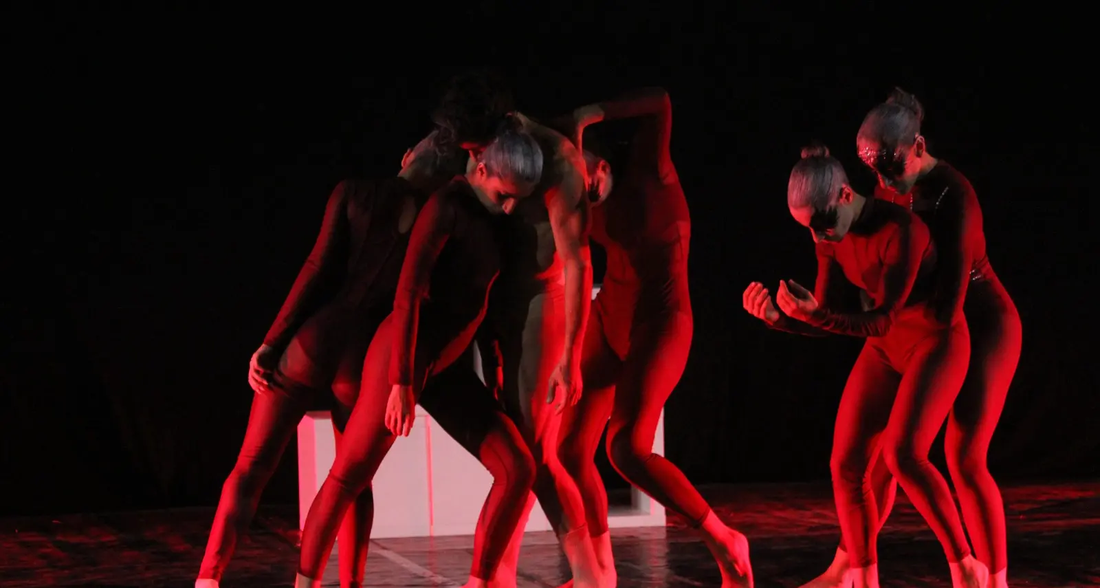 Reggio Calabria: la Naos Dance Company porta in scena “Liù, Amore VS Potere”\n