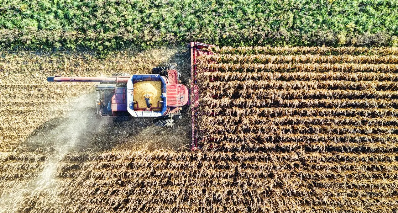 Agricoltura, dalla Regione 3 milioni per progetti innovativi. Gallo: «Investimento sulla capacità della Calabria di sperimentare»\n