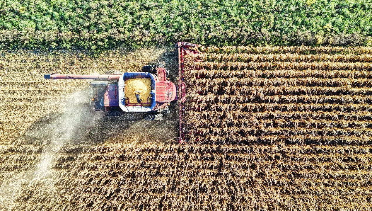 Agricoltura, dalla Regione 3 milioni per progetti innovativi. Gallo: «Investimento sulla capacità della Calabria di sperimentare»\n