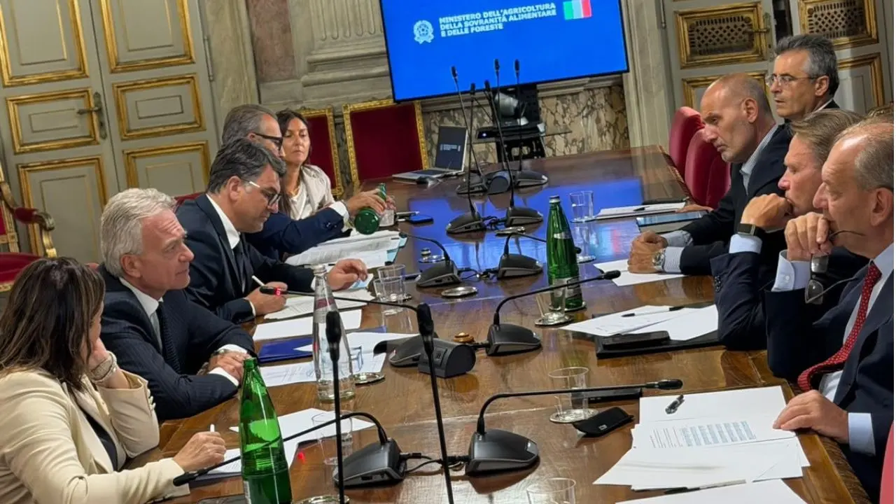 Olio, il Mezzogiorno cerca una risposta alla crisi di liquidità: al Masaf il confronto tra Governo e Regioni\n