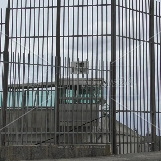 Sei cellulari nascosti vicino al carcere di Catanzaro: la scoperta durante la bonifica dell’area esterna