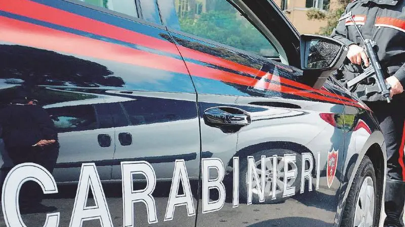 carabinieri , ANSA
