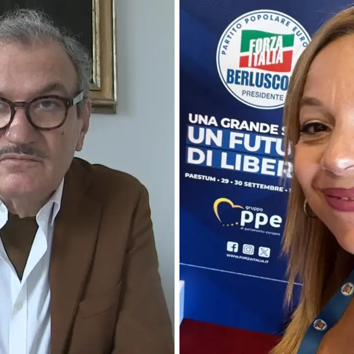 «Scrugli si è assunta le responsabilità da sola, Romeo dov’è?»: Corrado (Fi) riapre lo scontro sui 2,4 milioni sfumati a Vibo\n