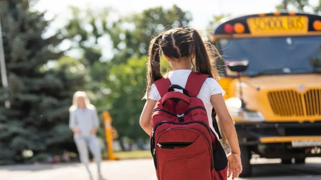 <p>Uno Scuolabus</p>\\n