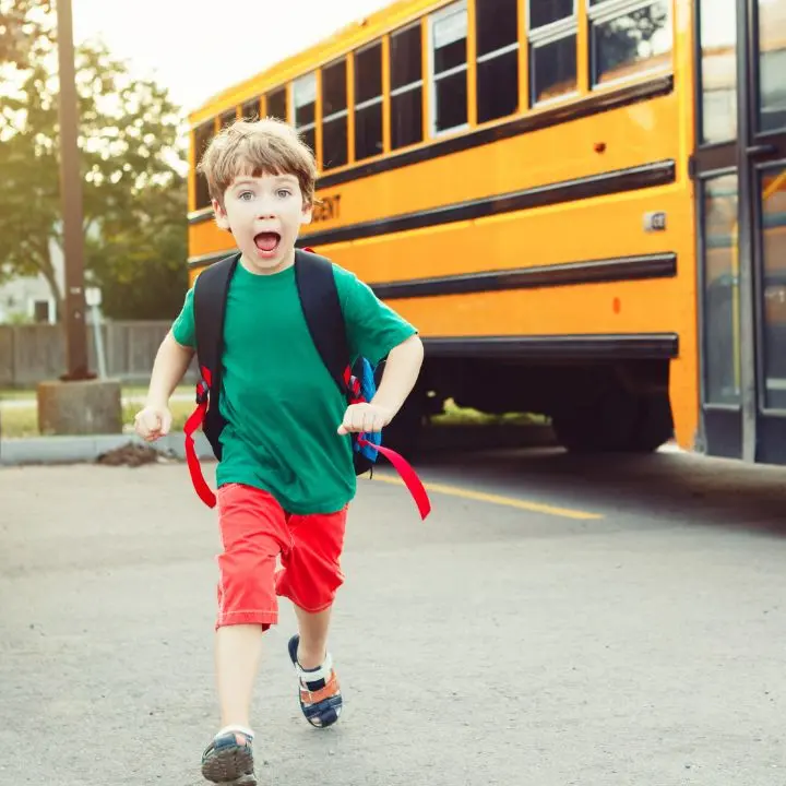 <p>Due comuni vibonesi vietano l’accesso agli scuolabus degli altri municipi: «Questione di sicurezza»</p>