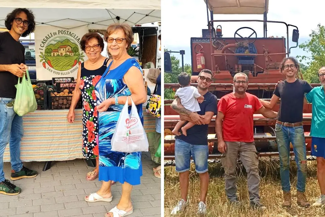 «Clima impazzito e burocrazia, ma resto in Calabria per amore»: la storia di Roberto Galati, giovane contadino che resiste\n