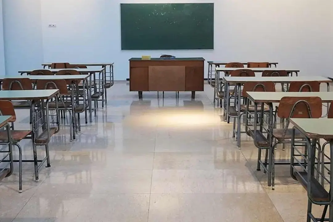 Calabria, sempre più scuole chiuse: negli ultimi dieci anni persi 109 istituti\n