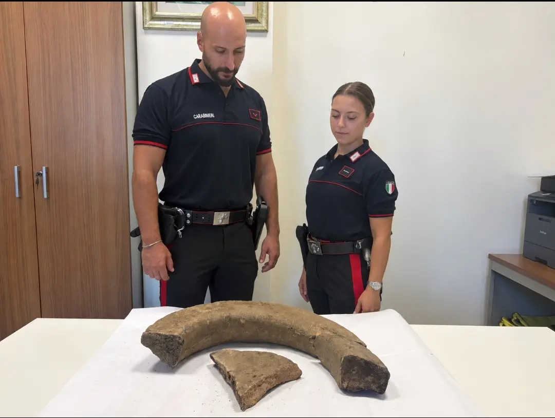Scoperta archeologica a Girifalco, dopo un incendio riaffiora un reperto di epoca greco-romano\n