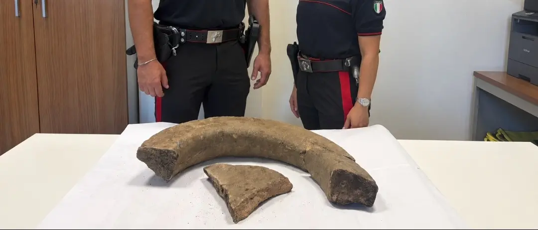 Scoperta archeologica a Girifalco, dopo un incendio riaffiora un reperto di epoca greco-romano\n