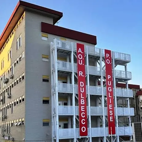 Sei artisti locali donano altrettante opere per gli spazi della Direzione generale AOU Dulbecco