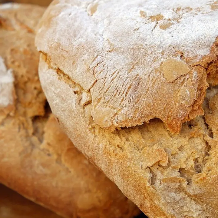 A Rogliano tutto pronto per la Festa del pane: tre giorni di degustazioni, talk e laboratori\n