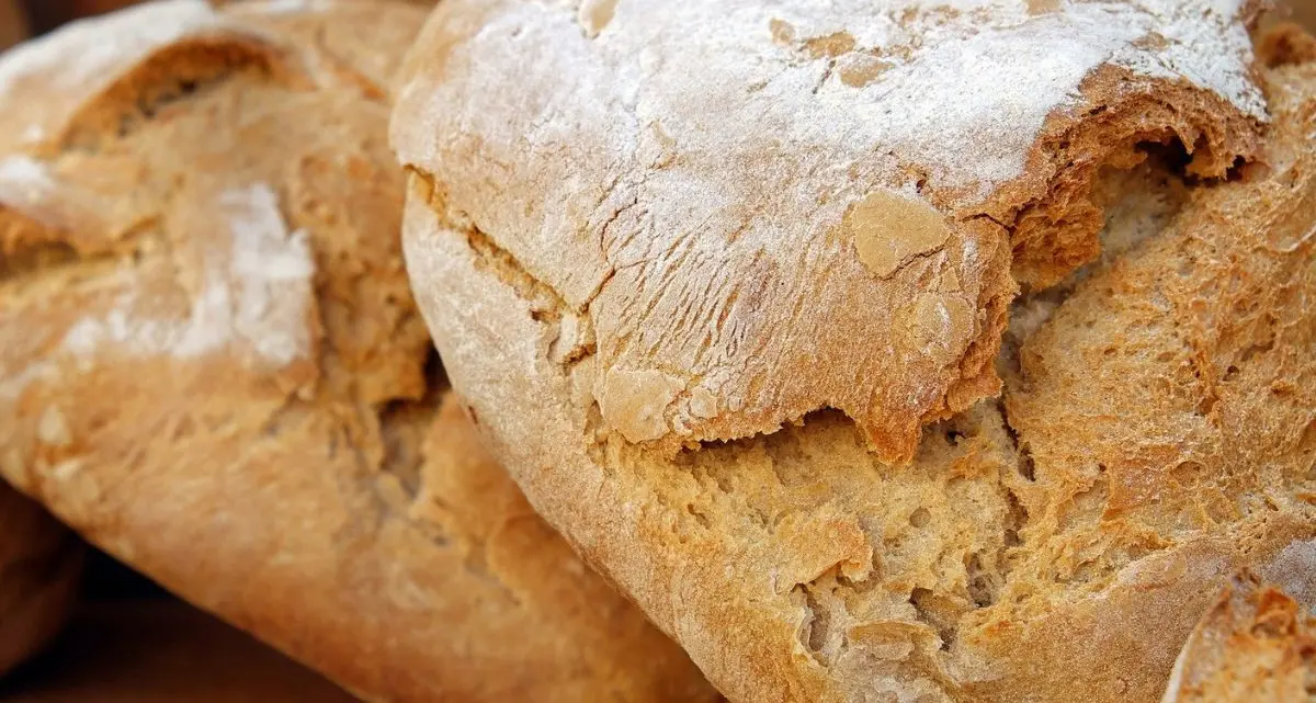 A Rogliano tutto pronto per la Festa del pane: tre giorni di degustazioni, talk e laboratori\n